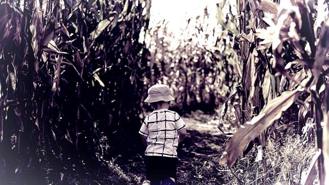 Το 2026 δεν είναι το τέλος της γεωργίας  είναι η στιγμή της επανεκκίνησης