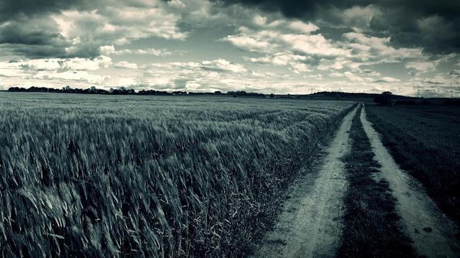 Κ. Αλεξανδρής: Το χωράφι δεν έχει χρώματα έχει αποτελέσματα