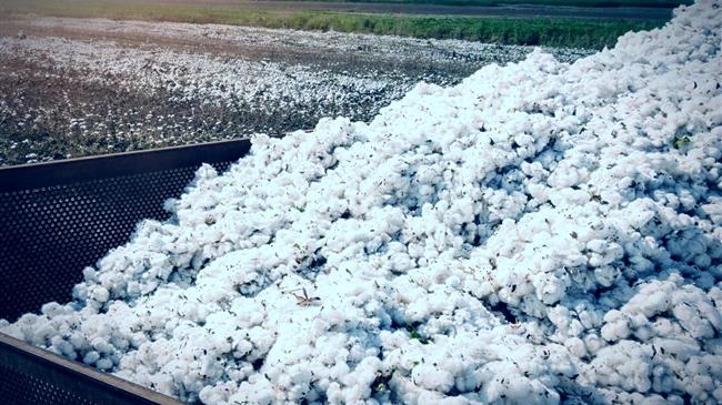 Πού κατευθύνθηκαν οι ενισχύσεις ΟΣΔΕ και τι αποκαλύπτει η γεωγραφία των πληρωμών