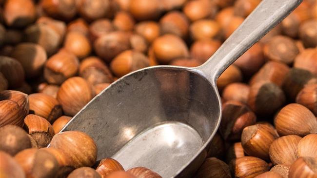 Τουρκία: Πάνω από το ένα τέταρτο των εξαγωγών φουντουκιού χάθηκε μέσα σε έναν χρόνο