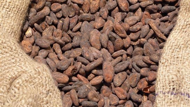 Κακάο: Βουτιά σε επίπεδα Νοεμβρίου 2023 εν μέσω υποχώρησης της ζήτησης