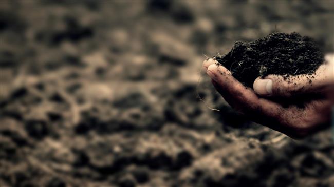 Τέλος στην τύρφη: Ιστορική συμφωνία για την κλιματική προστασία στην κηπουρική