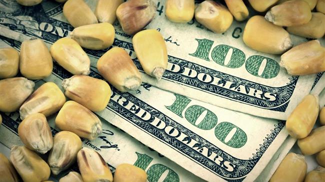 Προσφορά, ζήτηση και τιμές: Οι αγορές ενόψει  WASDE