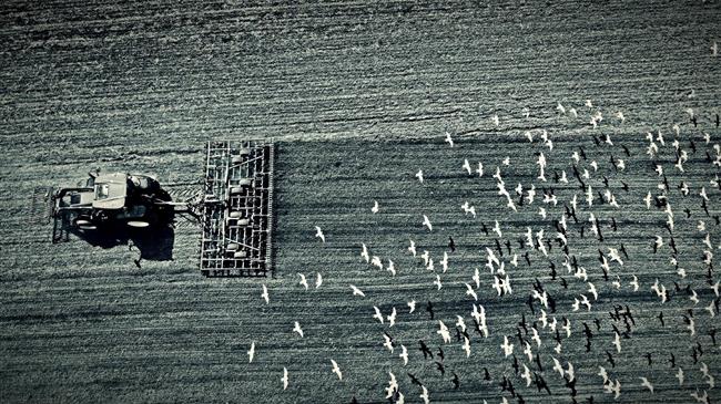 Τι ζητά η Ρουμανία για τους αγρότες της — και γιατί η απάντηση αφορά όλη την Ευρώπη