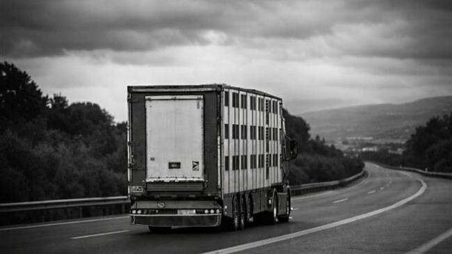 Greece freezes live animal imports as pox outbreak spirals