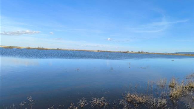 Agrisnap: Παράταση στο σύστημα λόγω των πρόσφατων πλημμυρών