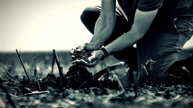 Πώς η αναγεννητική γεωργία περνά από το περιθώριο στο χωράφι