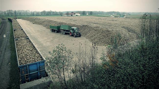 Τιμές ζάχαρης: Οι κερδοσκόποι διατηρούν την πίεση στην αγορά