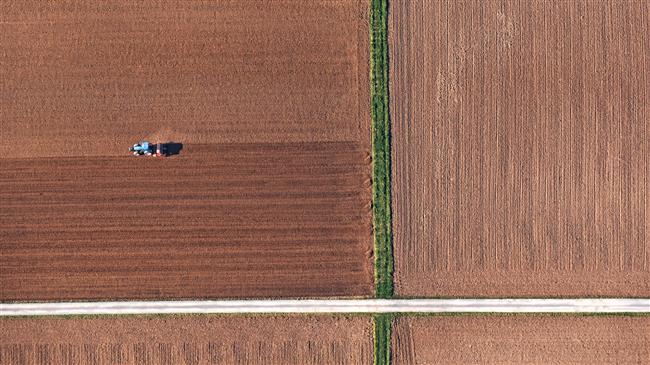 Όσο λιγότερα φυτεύεις, τόσο περισσότερα ρισκάρεις, η Ευρώπη χτυπά καμπανάκι για τη μονοκαλλιέργεια