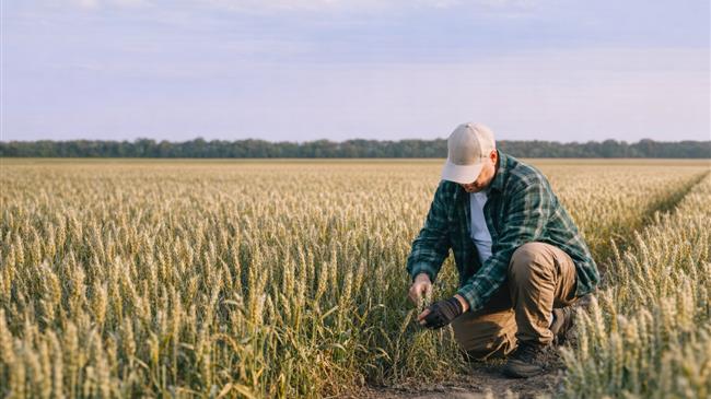 Τ.Χανιώτης: Η γεωπολιτική κρίση περνά στα λιπάσματα και φτάνει στο εισόδημα του αγρότη