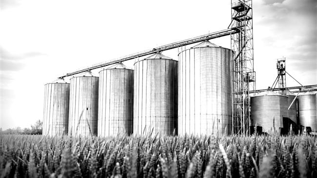 Το σιτάρι επιστρέφει στα 580 δολάρια καθώς η αποκλιμάκωση στο πετρέλαιο αλλάζει το κλίμα στις αγορές