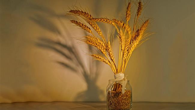 Μείωση 27% στις εισαγωγές σιτηρών της ΕΕ τη φετινή εμπορική περίοδο