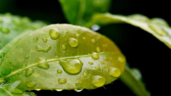 Η ΕΕ ενισχύει τη σταθερότητα και την προβλεψιμότητα της αγοράς ανθρακούχων εκπομπών της