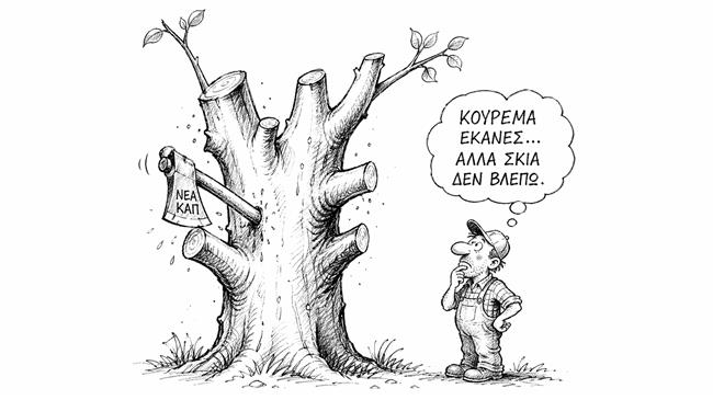 Η ΚΑΠ κρατά όρθια την ελληνική γεωργία, αλλά δεν κλείνει το περιφερειακό χάσμα