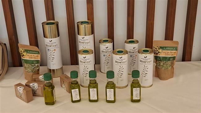 Φεστιβάλ Ελαιολάδου Καλαμάτας: Από τους δολωματικούς ψεκασμούς με drones μέχρι τη συμβολή του ελαιολάδου στην υγεία