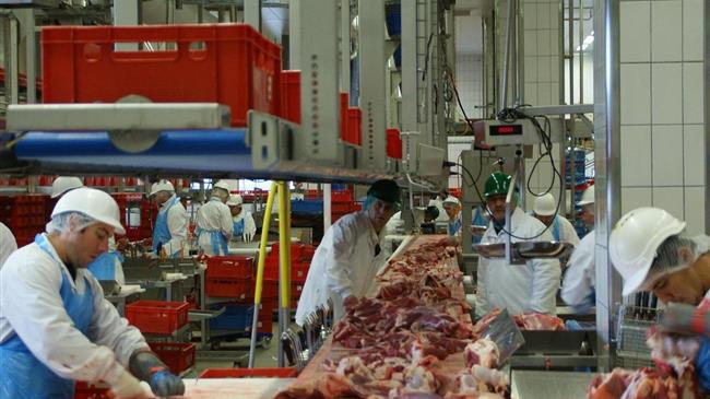 Επικαιροποίηση Οδηγού HACCP για τα Σφαγεία Οπληφόρων