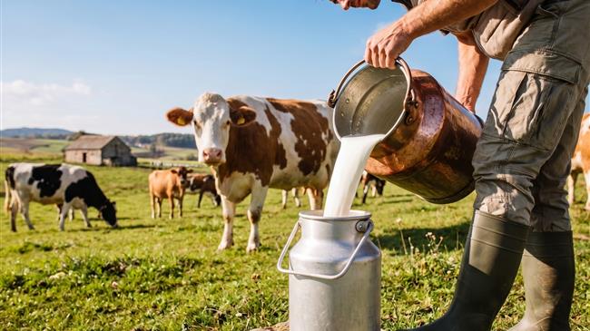 FAO: Περισσότερο γάλα με μικρότερο αποτύπωμα – Η πρόκληση του μετασχηματισμού της κτηνοτροφίας