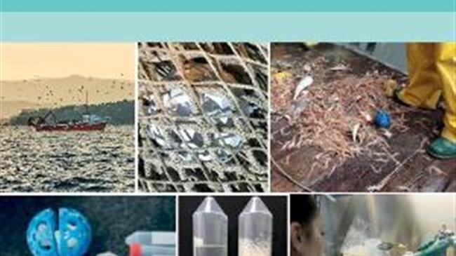 FAO: Το περιβαλλοντικό DNA (eDNA) στη θαλάσσια έρευνα