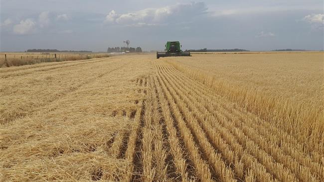 FAO: Η συνεργασία «ασπίδα» απέναντι στα σοκ στις αγροτικές αγορές