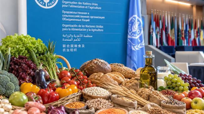 FAO: Οι αγροτικές επιδοτήσεις της ΕΕ ακριβαίνουν την υγιεινή διατροφή