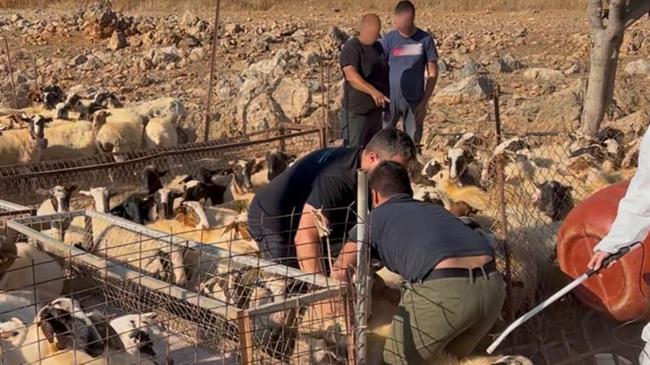 Μαζικοί έλεγχοι της ΑΑΔΕ στα Ζωνιανά για εικονικές αγροτικές επιδοτήσεις