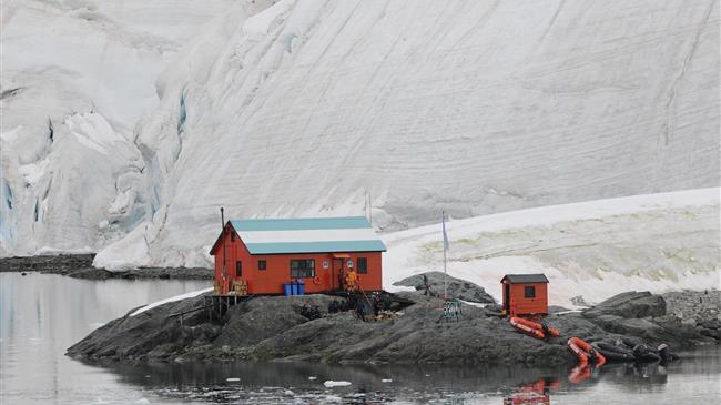 Antarctic krill fishery closes early for second consecutive year, intensifying calls for Southern Ocean protection
