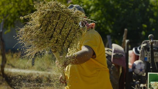 Ριζικός εκσυγχρονισμός στην αγροτική εκπαίδευση στη Γερμανία μετά από 30 χρόνια