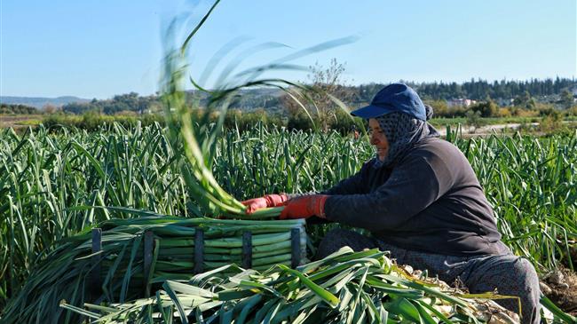 Eurostat: Μόλις το 17,2% της αγροτικής γης στην ΕΕ βρίσκεται στα χέρια γυναικών